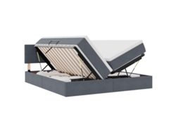 Maison Exclusive - Cama De Almacenamiento Led Con Colchón Gris Oscuro 200 X 200 Cm