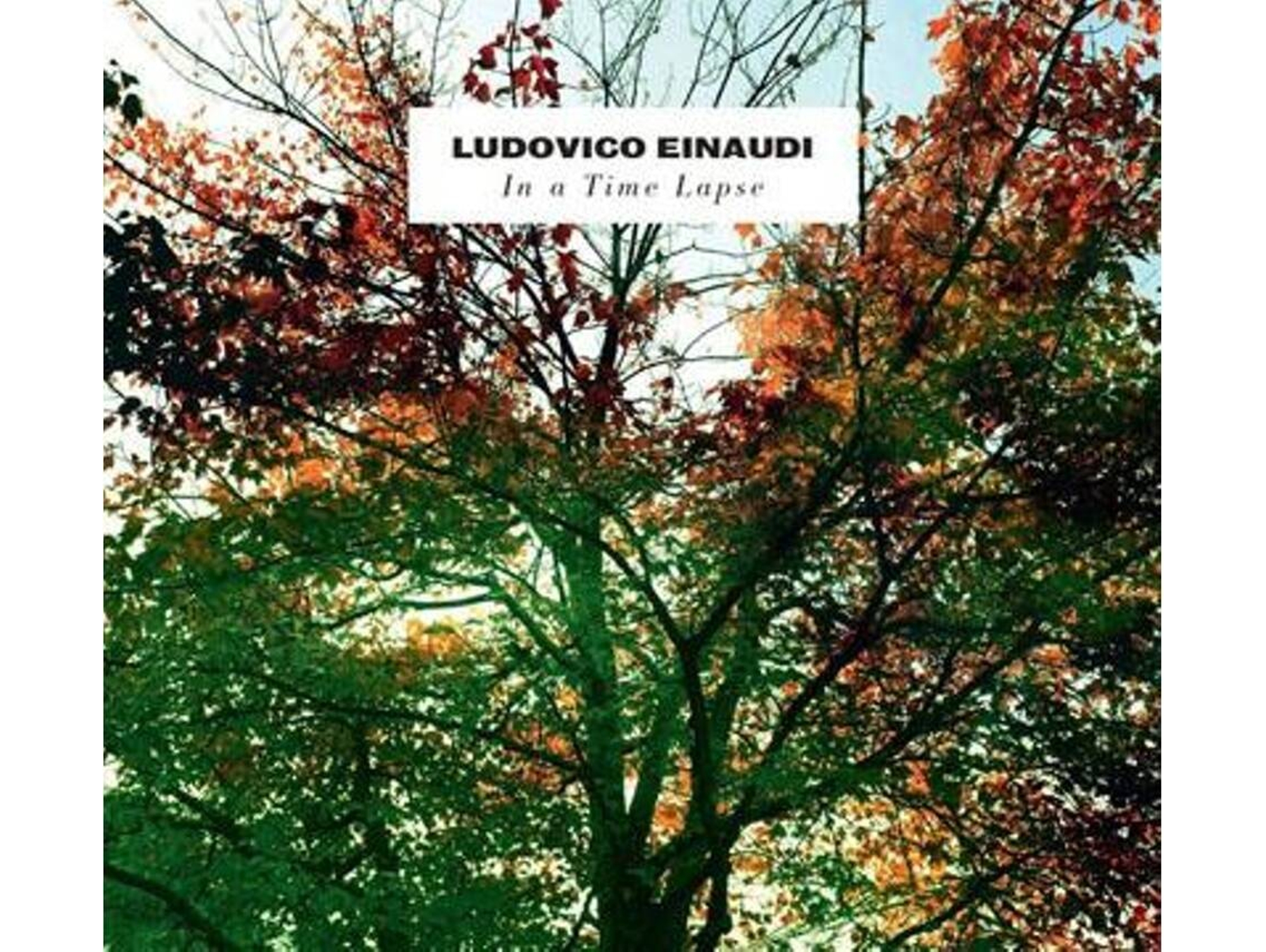 Vinilo Ludovico Einaudi - In A Time Lapse