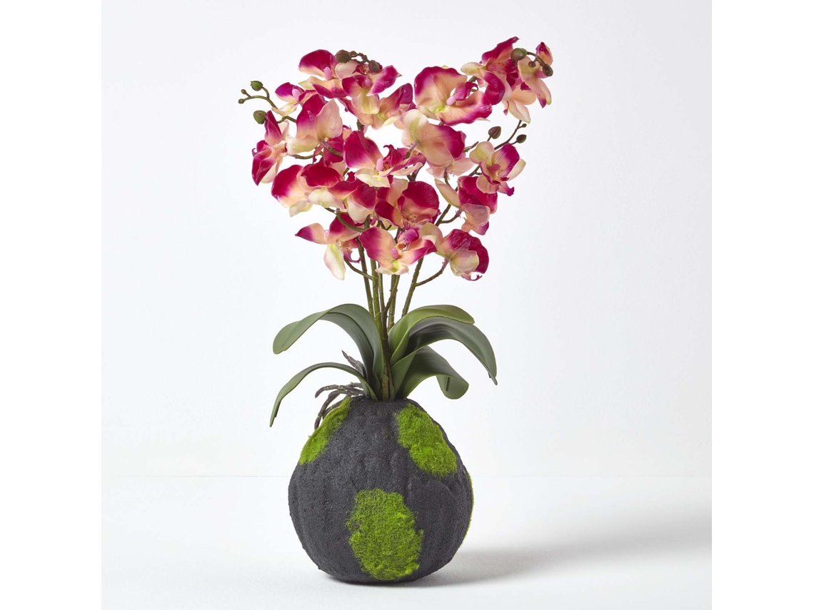 Orquídea artificial Phalaenopsis color crema y rosa de Homescapes con base natural, 60 cm de altura