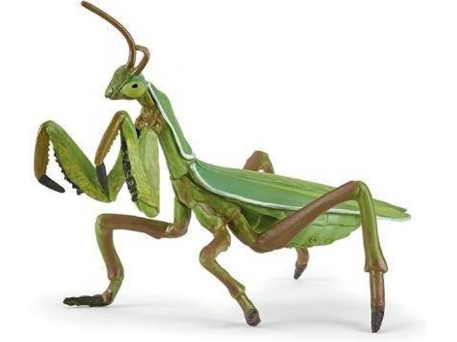 Figura PAPO Louva-Deus