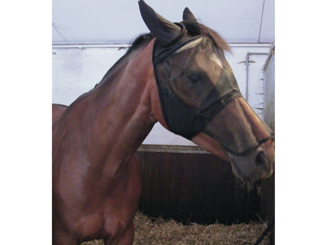 Máscara de caballo con puente nasal HORSEGUARD