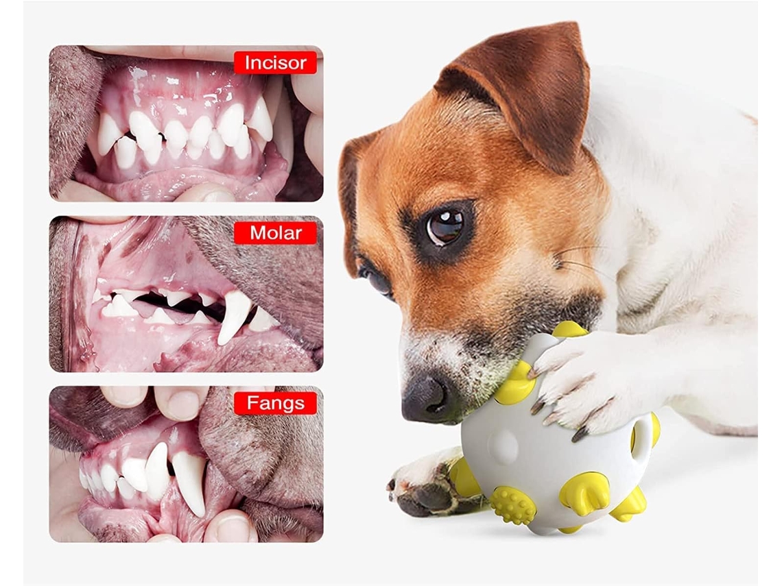 Juguetes para perros para limpiar dientes outlet