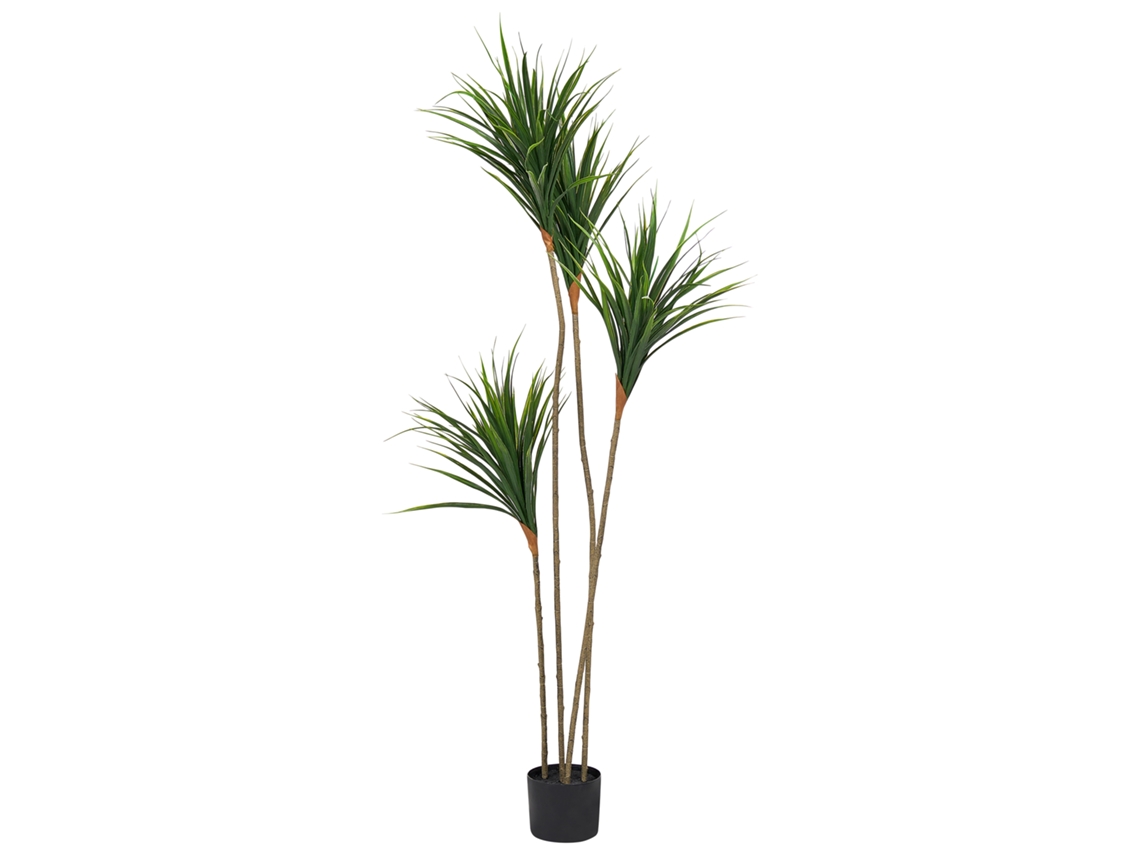 Planta Artificial Beliani Dracaena Draco De Material Sintético Verde 50x50x165
