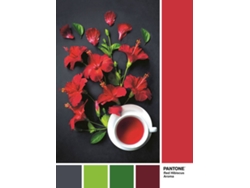 Puzzle 6639494 (1000 Piezas)
