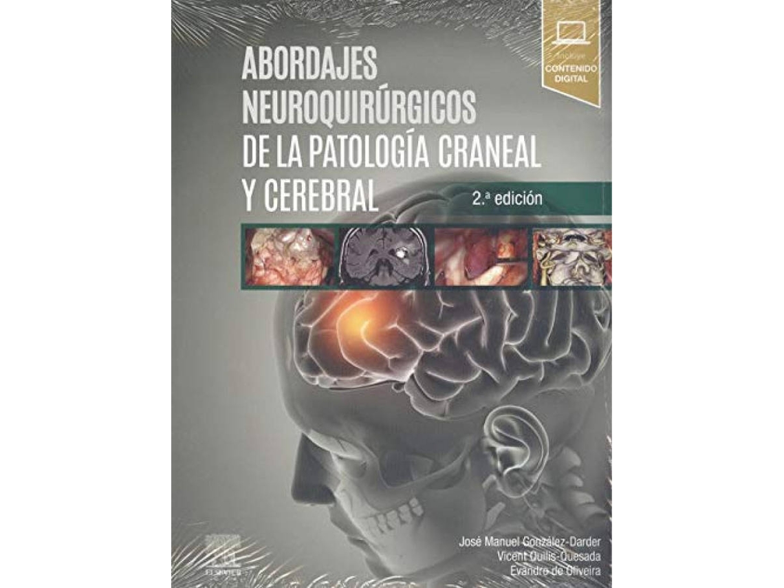 Libro Abordajes Neuroquirúrgicos De La Patología Craneal Y Cerebral de Quilis Quesada González Darder (Español)