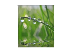 Estor Enrollable HAPPYSTOR Estampado Digital Zen HSCZ1287 165x250 cm