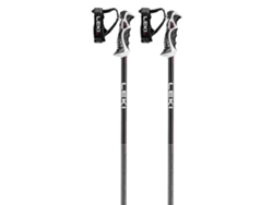 Bastón LEKI ALPINO Pólos Bold Lite S Prateado 110 cm