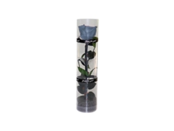 Rebe-rosa Preservada Real, Rosa Eterna Con Tallos Y Hojas Reales, Flor Duradera Para Regalo Azul Grisáceo