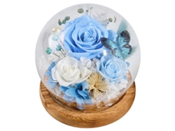 Rosas preservadas en cúpulas de cristal para cumpleaños, Navidad, San Valentín, bodas, Acción de Gracias y regalos del Día de la Madre.