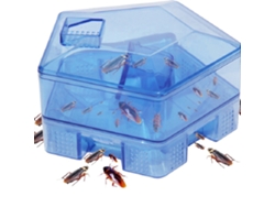 Trampa Reutilizable No Tóxica Para Cucarachas, Ideal Para La Cocina Y El Hogar. Captura Insectos. Fabricada En Plástico Y Metal. Medidas: 14 X 14 X 8 Cm.