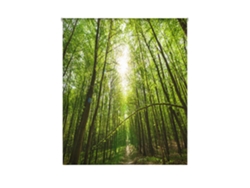 Estor Enrollable HAPPYSTOR Estampado Digital Paisajes HSCP8493 165x250 cm