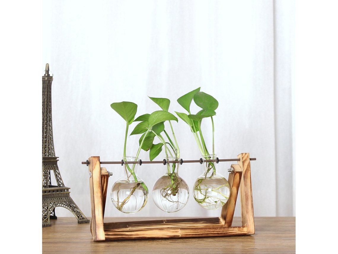 Terrario de cristal con soporte de madera para decoración de interiores
