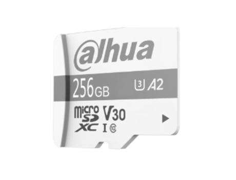 Disco Duro SSD DAHUA TECHNOLOGY P100 (256 GB)