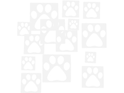 14 Plantillas De Pared Con Motivos De Animales, Piezas De Plástico Reutilizables, Plantillas Huecas.