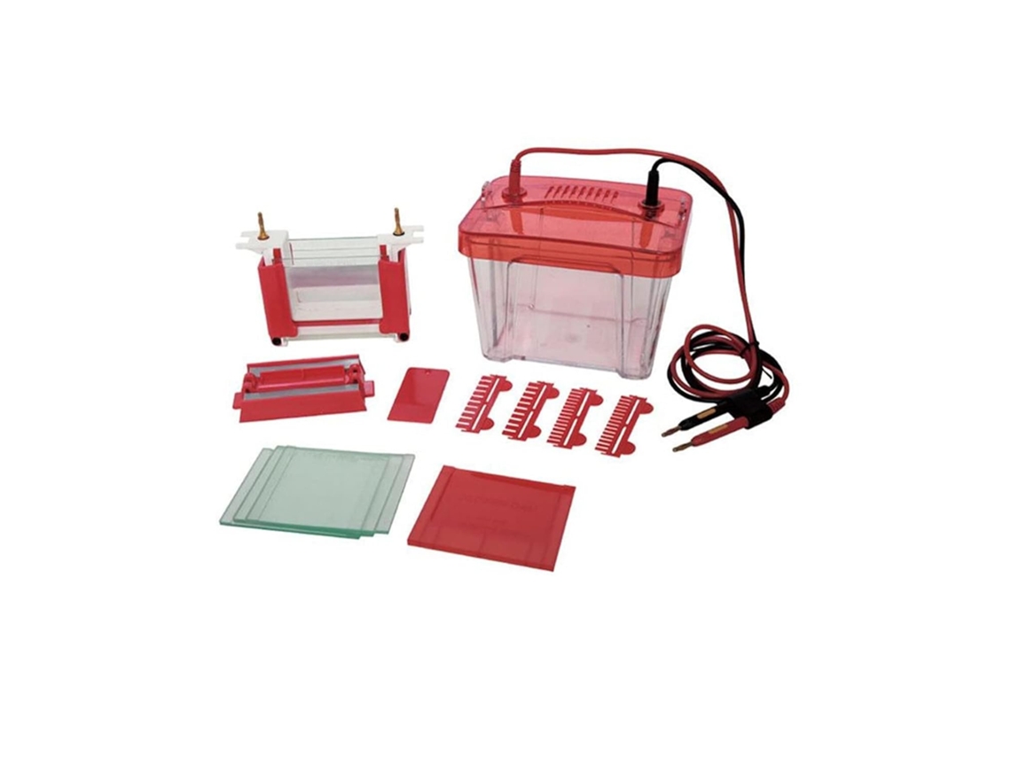 Aparato De Electroforesis Lf-mini2 Para Electroforesis De Muestras De Proteínas Con Hendidura Pequeña