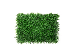 1 césped verde. ALLINLESS