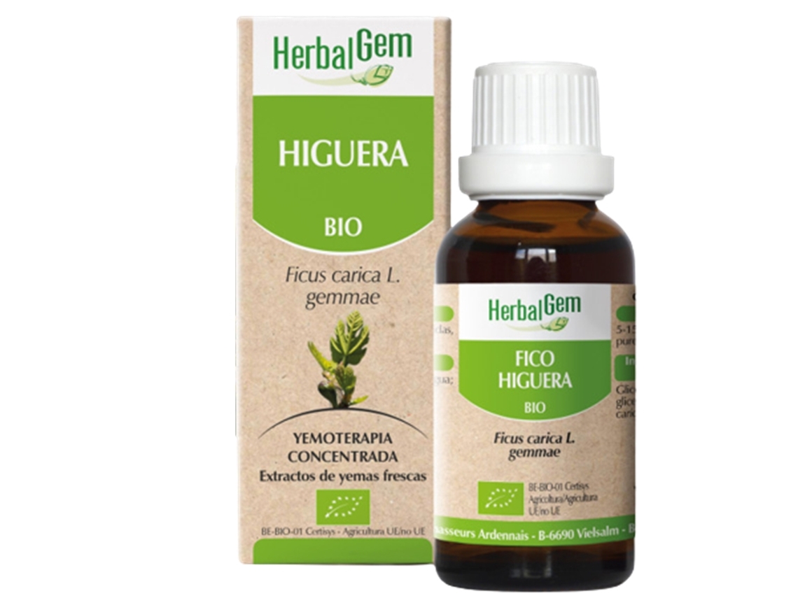 Extracto de Higuera Bio 50Ml HERBALGEM