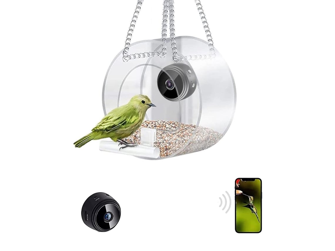 Comedero Inteligente Para Pájaros Con Cámara Para Grabación Automática De Vídeo De Aves Es Brilvibera_ozo