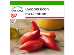 SAFLAX Tomate Andine Cornue (de los Andes) 10 semillas Con sustrato de cultivo libre de gérmenes Lycopersicon esculentum