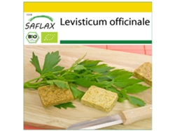 SAFLAX Conjunto de cultivo Ecológico Apio de monte o levístico 100 semillas Con mini invernadero, sustrato de cultivo y 2 macetas Levisticum officinale
