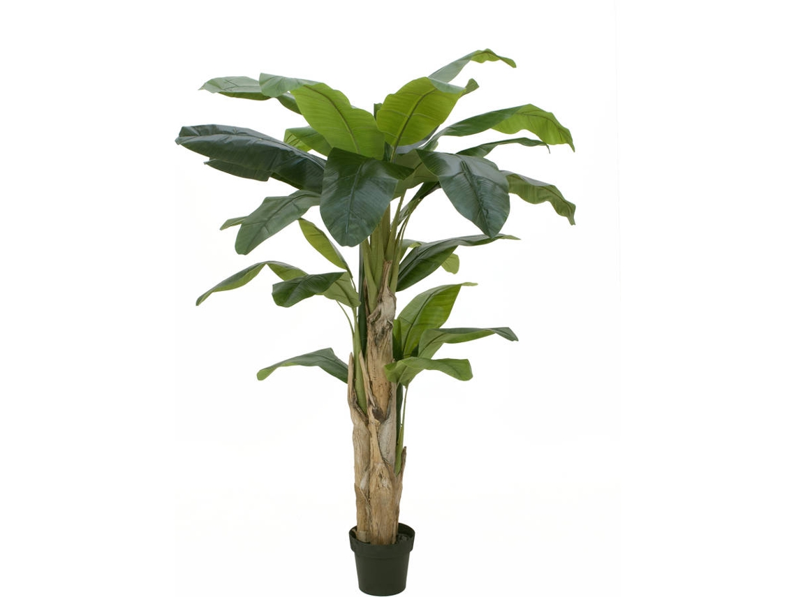 Planta Artificial EUROPALMS Banana (Verde - 170 cm)
