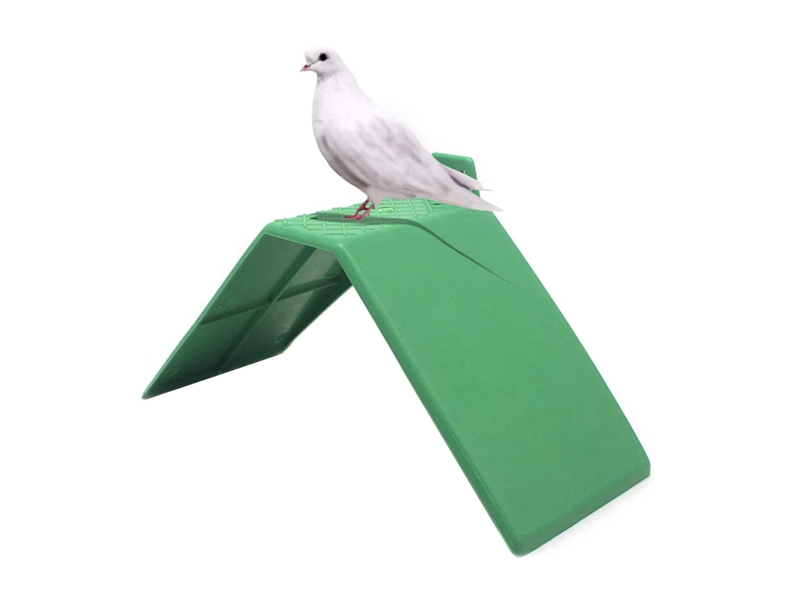 10 Soportes Antideslizantes De Plástico Para Aves, Ideales Para Palomas Y Loros.