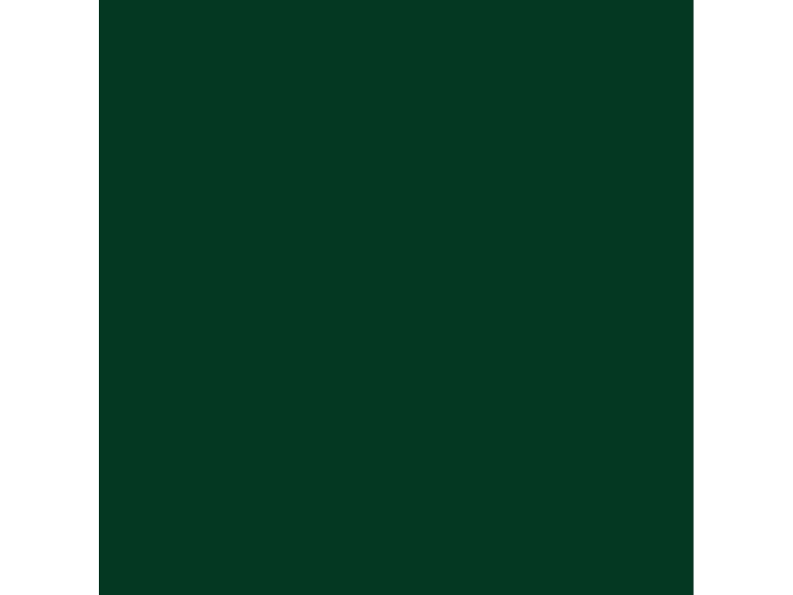 ESMALTE NAVAL E INDUSTRIAL PROARAPID BRILLANTE Esmalte de secado rápido y gran dureza PROA Verde Botella Ral 6005 10L