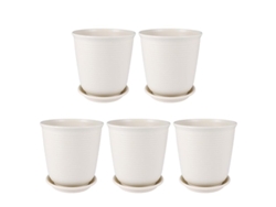 5 piezas mini maceta ALLINLESS