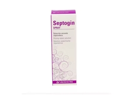 Septogin Md Spray 50 Ml LABORATORIOS VIÑAS