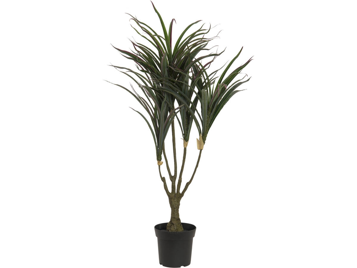 Planta Artificial EUROPALMS Dracena (Verde - 90 cm)