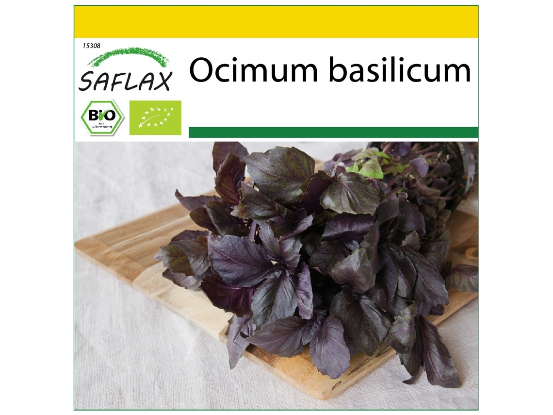 SAFLAX Conjunto de cultivo Ecológico Albahaca Roja 400 semillas Con mini invernadero, sustrato de cultivo y 2 macetas Ocimum basilicum