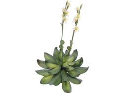Planta Artificial EUROPALMS Houseleeks (Amarillo - 32 cm)