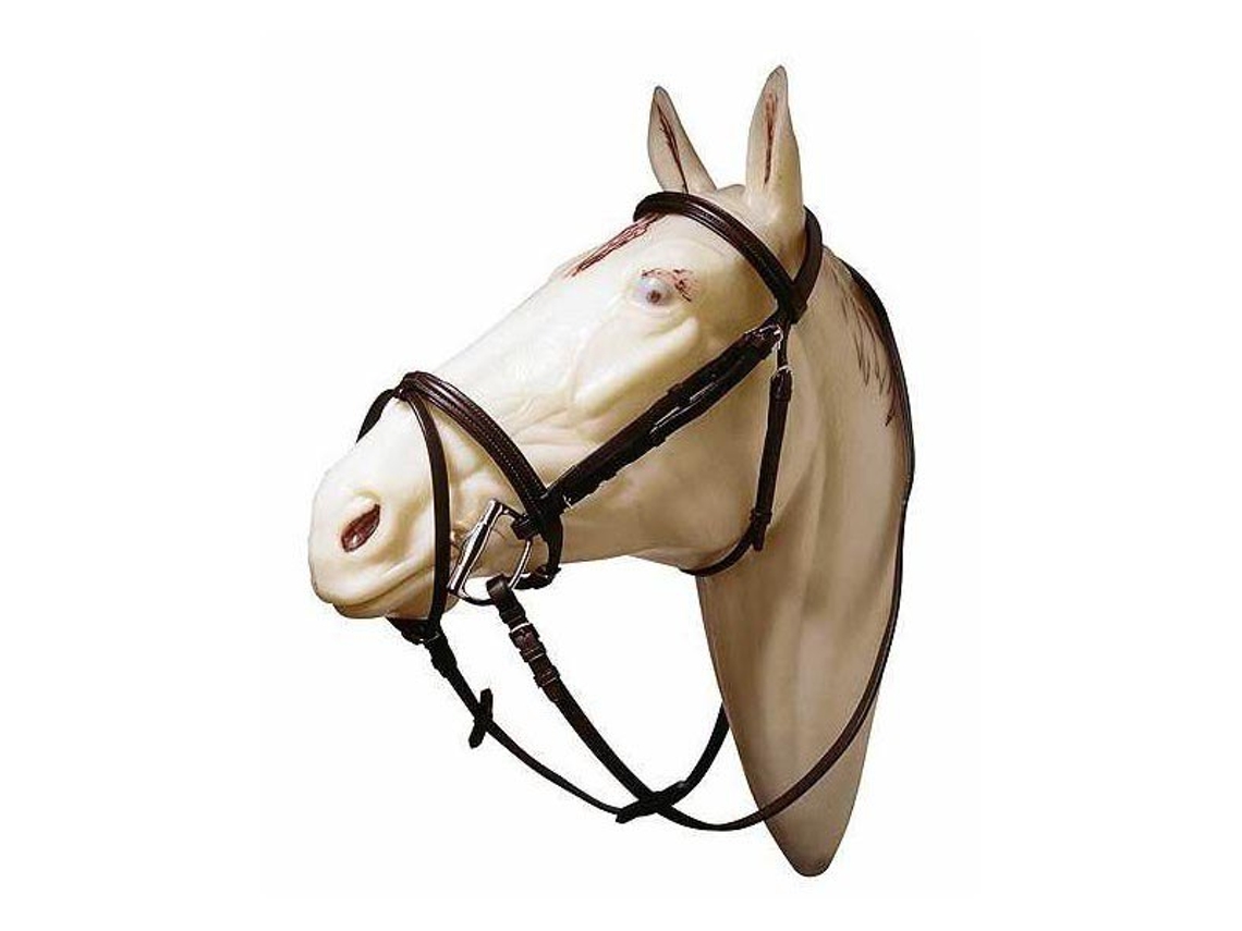 Focinheira Elevada e Freio de Testa Dourado Fullmarjoman Distribucion