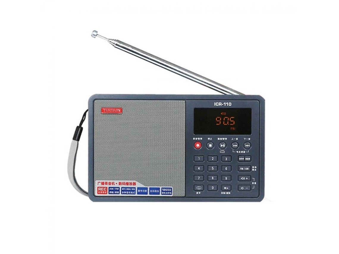Desheng ICR 110 Radio FM/AM Reproductor MP3 Audio digital portátil Videoscopio Altavoz semiconductor Soporte para tarjeta TF Envío gratuito Gusshious