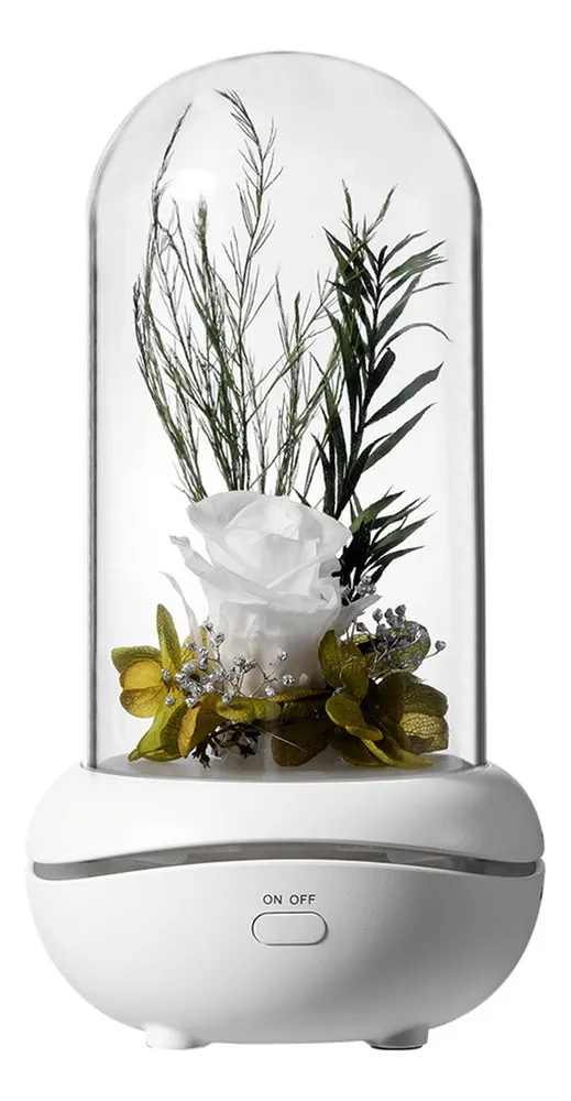 Nueva lámpara LED romántica con aroma a flor eterna K,vayotoy