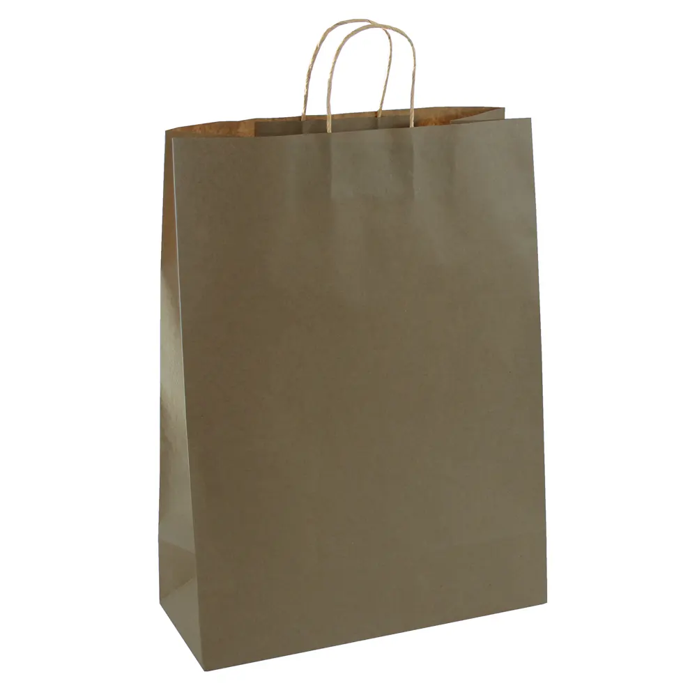 Bolsa de Papel EUROPRICE Kraft Mn (1 Unidade - Plateado - 27 x 37 x 12 cm)