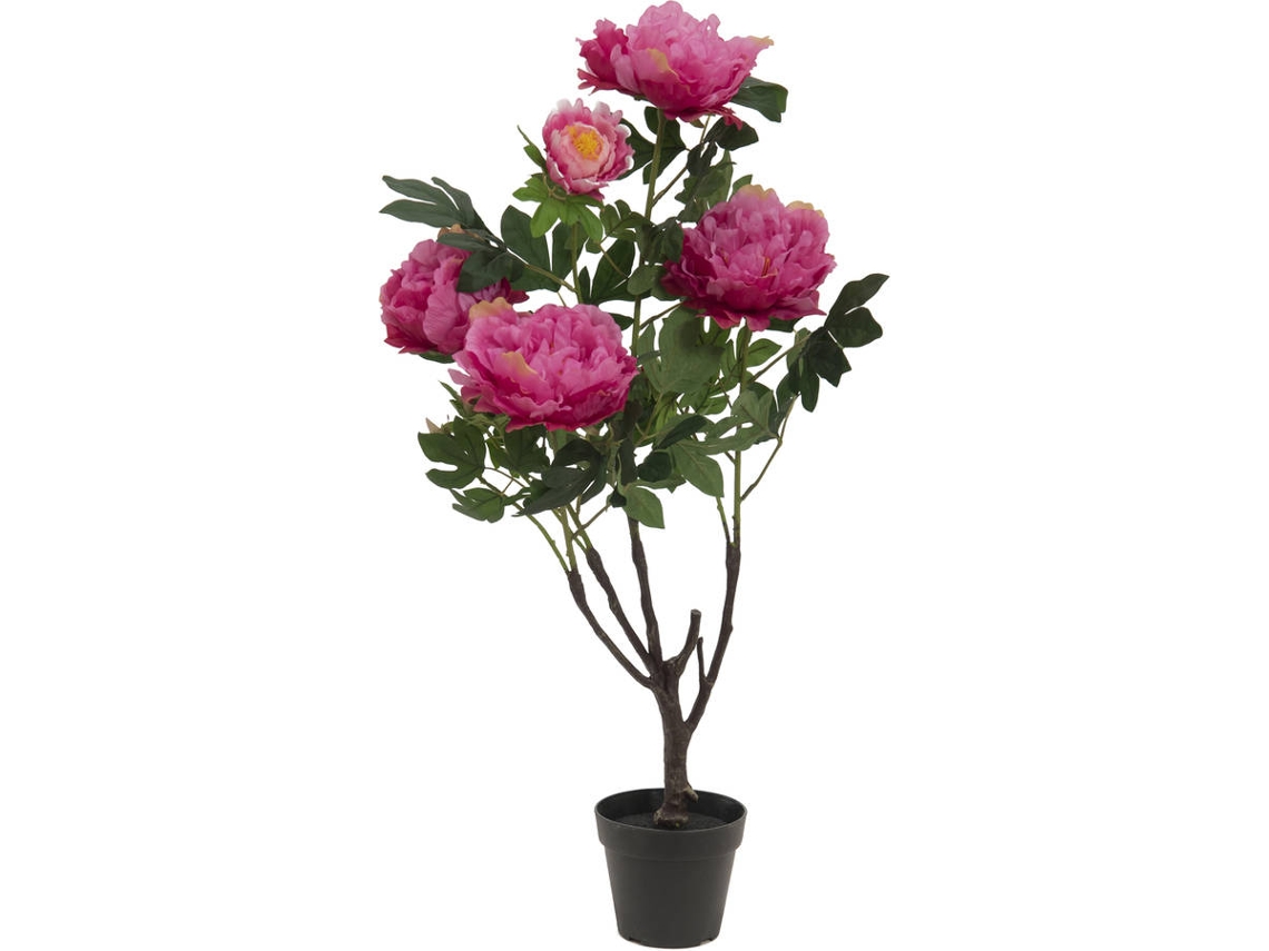 Planta Artificial EUROPALMS Peonies (Verde - 90 cm)