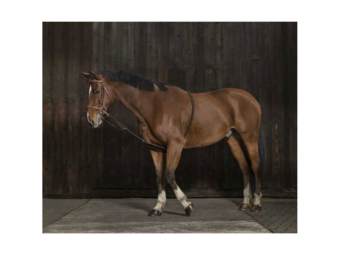 Extensor Suave Castanho Fullnorton Equestrian