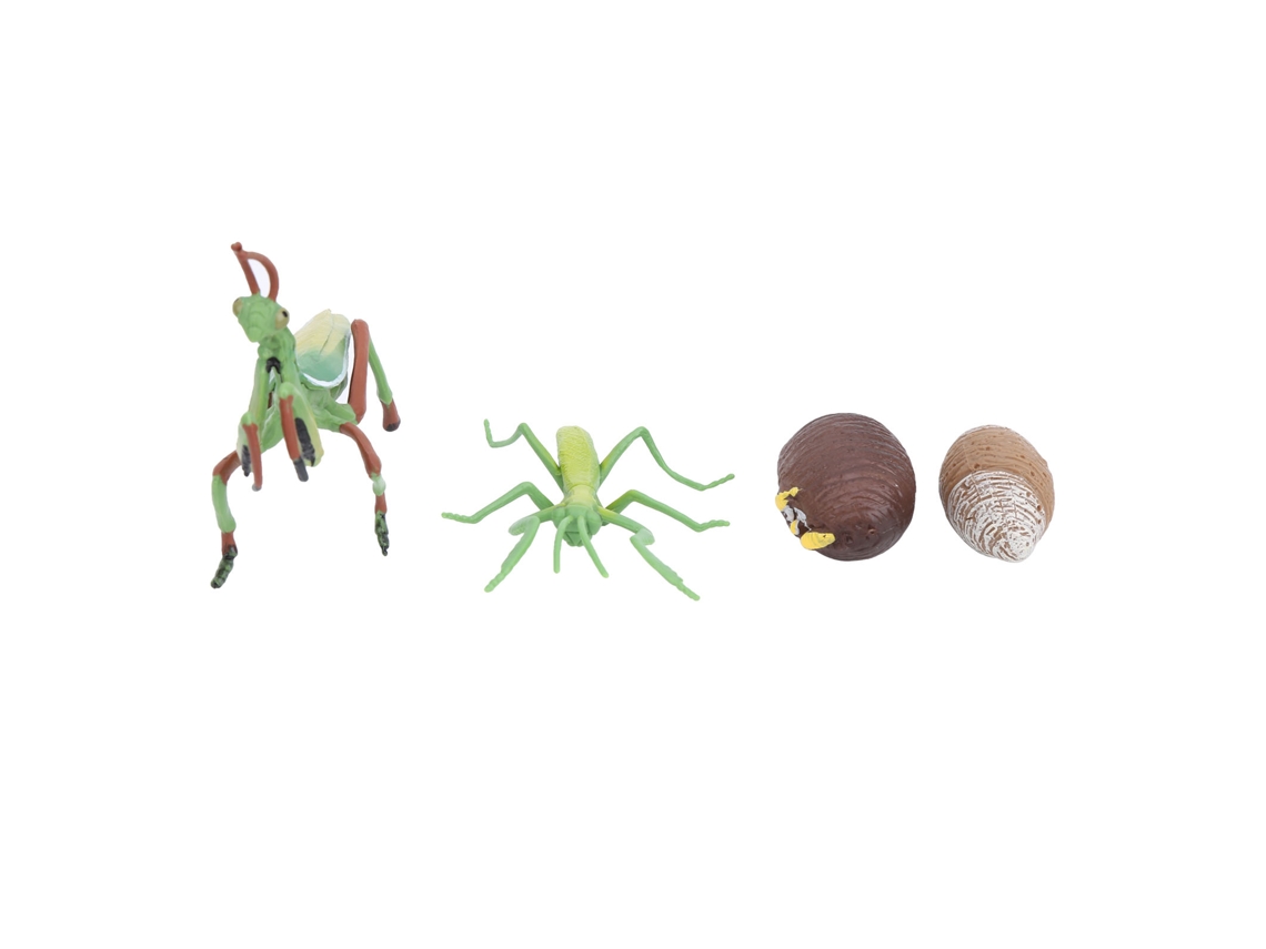 Juguete De Insectos Ciclo De Crecimiento Simulación Alta Juguete Educativo Cognitivo Para Niños Niñas