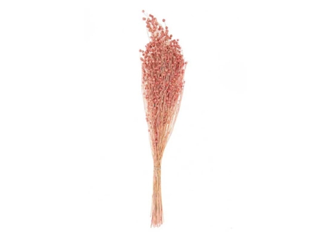 Lino Rosa Seco 70 cm