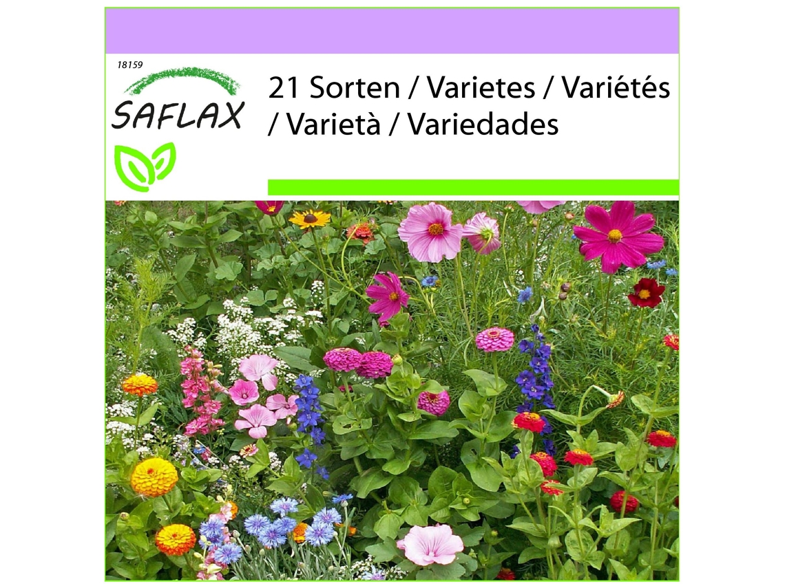 SAFLAX Jardín de la cabaña 1000 semillas Mix