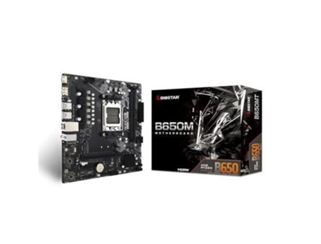Placa base BIOSTAR