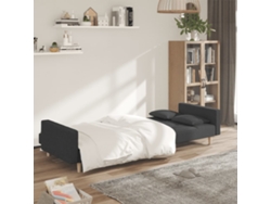 Sofá Cama De 2 Plazas Con Dos Almohadas Tela Gris Oscuro