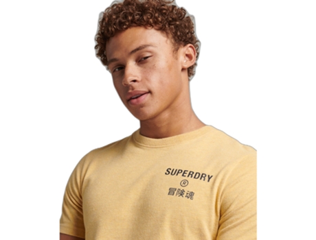 Camiseta para Hombre SUPERDRY (L - Multicolor)