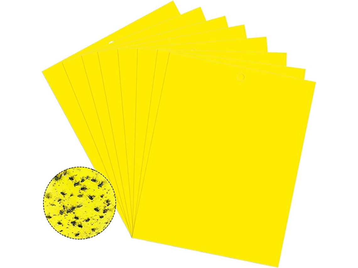 Trampa Pegajosa Para Plagas Flycatcher 20 Unidades Yellow