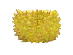 Maceta Pequeña De Resina Con Forma De Durián Para Suculentas, Ideal Para La Decoración Del Jardín Y El Hogar.