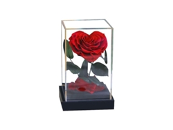 2026-rosa Corazón Eterna Preservada En Acrílico Transparente Regalo Para San Valentín Cumpleaños Día De La Madre