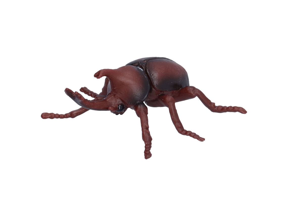 Modelo De Escarabajo Realista Juguete De Plástico Figura Educativa Para Niños Props De Insecto