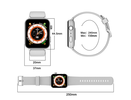 Smartwatch BLACKVIEW R30 Pro Gris