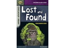 Libro Rapid Stage 7 Assessment book Lost and Found de Dee Reid (Inglés)